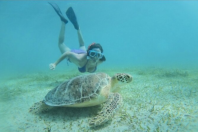Full-Day Snorkeling Tour to Culebra Island with Lunch - Lunch at 11:00 am and time on the water
