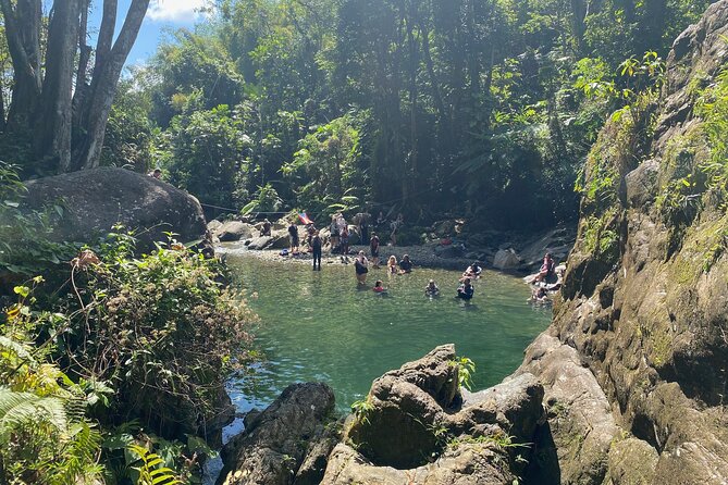 Full-Day Tinajas Hiking to El Yunque Rainforest with Transport - Natural rock slides and river thrills