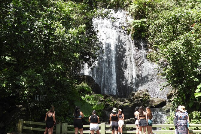 Full-Day Tour: El Yunque, Luquillo Beach, Bio Bay Night Kayaking - Key points to know before you book