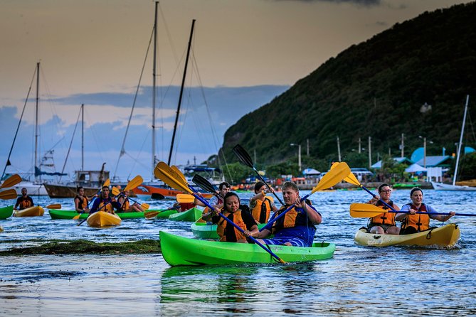 Full-Day Tour: El Yunque, Luquillo Beach, Bio Bay Night Kayaking - La Coca Falls gives you a quick rainforest introduction