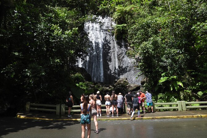 Full-Day Tour: El Yunque, Luquillo Beach, Bio Bay Night Kayaking - The evening route to Laguna Grande