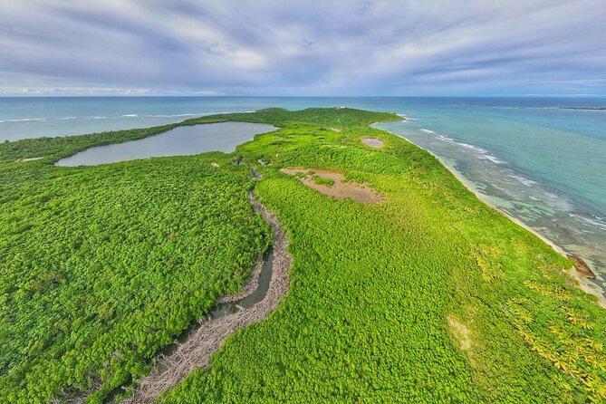 Full-Day Tour: El Yunque, Luquillo Beach, Bio Bay Night Kayaking - How bright will the bioluminescence be?