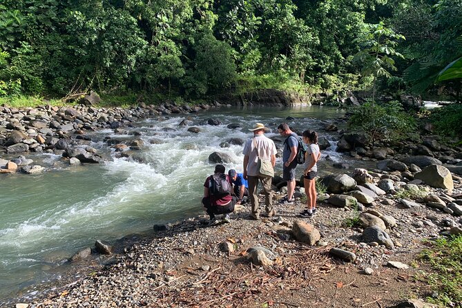 Full-Day Tour: El Yunque, Luquillo Beach, Bio Bay Night Kayaking - Puente Roto and the forest walk keep things easy