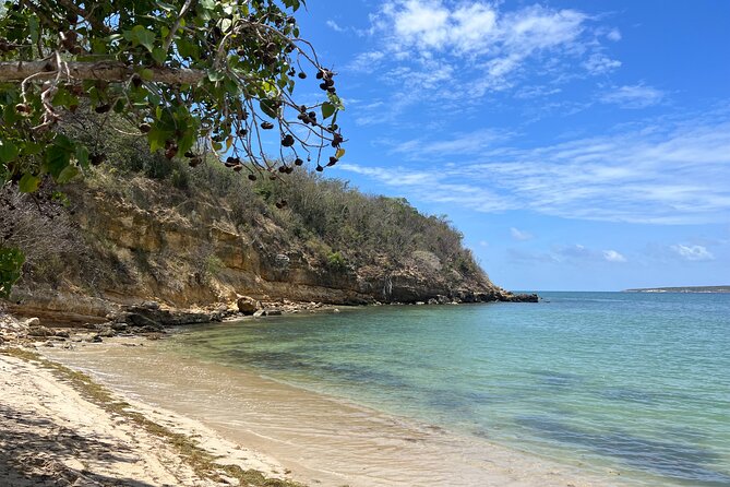 Full Day Vamos Pa la Isla Southwest Experience - Why this southwest day trip is worth your time