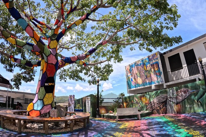 Full Day Vamos Pa la Isla Southwest Experience - Yauco, coffee country and colorful streets