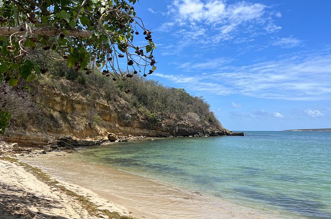 Full Day Vamos Pa la Isla Southwest Experience - Timing, pickup, and what the day feels like