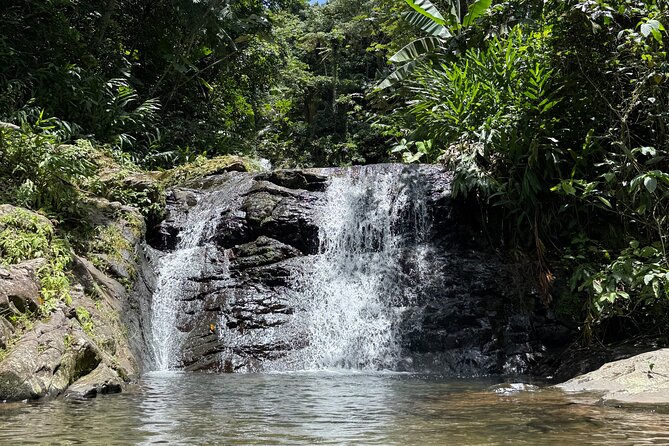 Full Day Waterfalls of Puerto Rico: Central Mountains Escape - FinCafé and the taste of Puerto Rican coffee