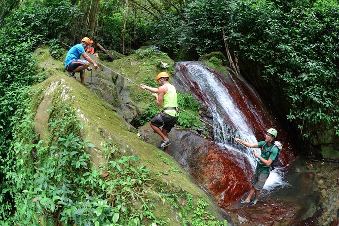 Full-Day Zipline and Waterfall Rappelling Adventure Near San Juan - The real nature of this Carite adventure