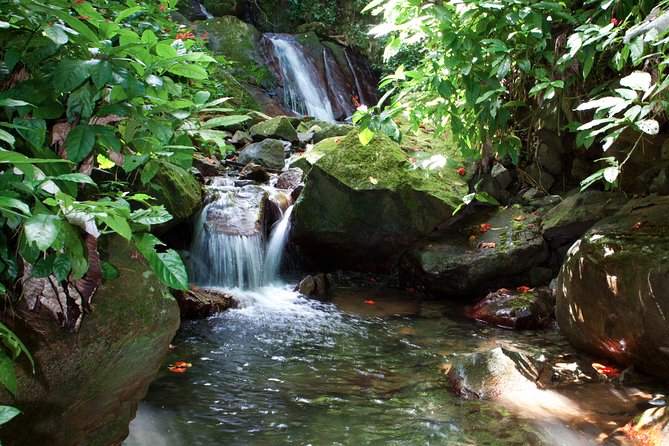 Full-Day Zipline and Waterfall Rappelling Adventure Near San Juan - Ziplines back toward basecamp