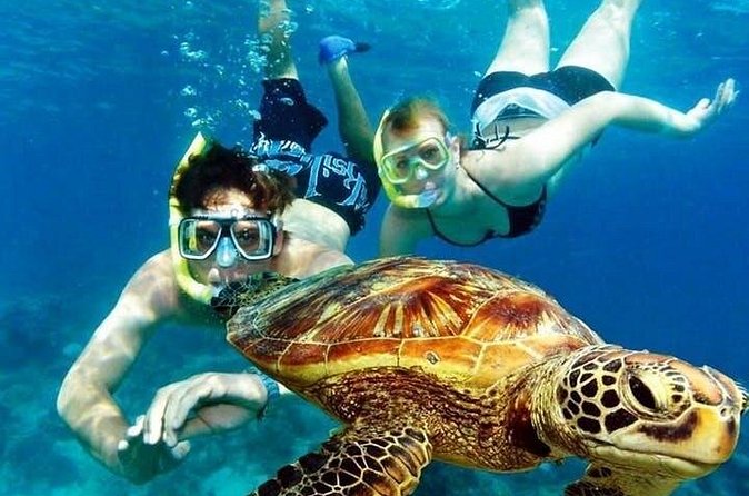 Guided Coral Reef Snorkeling Tour - Who Will Enjoy This Most?
