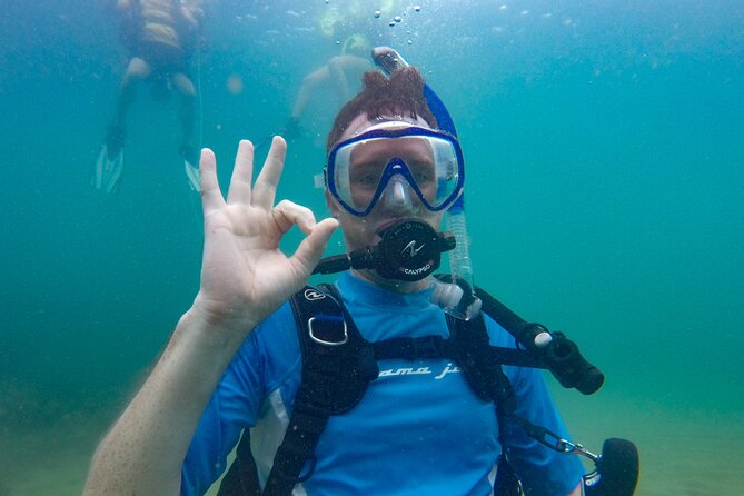 Guided Shore Diving Tour - Key points to know before booking