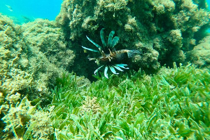 Guided Snorkeling adventure in San Juan - The Caribe Hilton day pass changes the value
