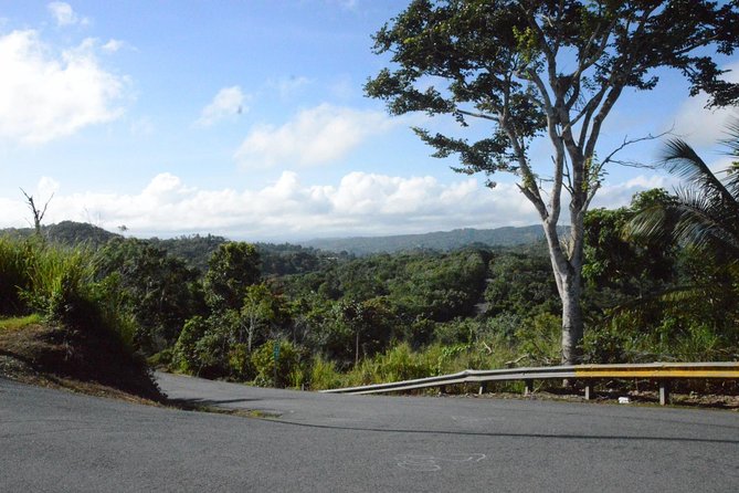 Half-Day Center of Puerto Rico Cultural Tour - From San Juan to the mountains in five hours