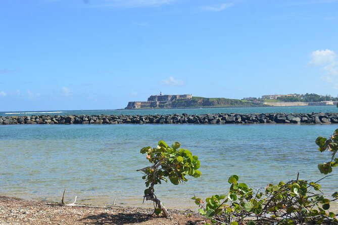 Half-Day Center of Puerto Rico Cultural Tour - Guides who teach, joke, and sometimes sing
