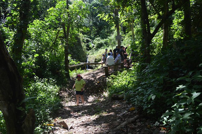 Half-Day Center of Puerto Rico Cultural Tour - Why the small van matters