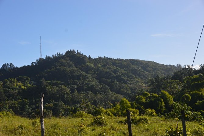 Half-Day Center of Puerto Rico Cultural Tour - The best way to fit it into your San Juan plans