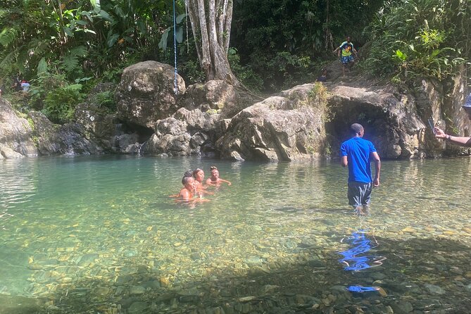 Half-Day El Yunque and Waterslides Adventure from Fajardo - Swimming holes, slides, and the choice to sit out
