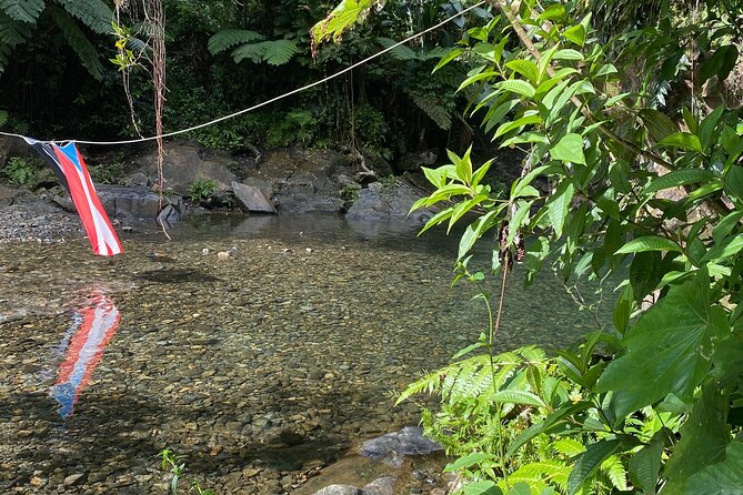 Half-Day El Yunque and Waterslides Adventure from Fajardo - Who will enjoy this El Yunque outing