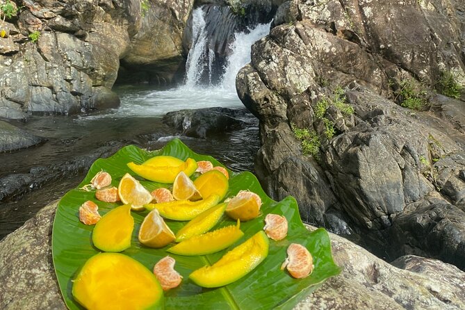 Half-Day El Yunque and Waterslides Adventure from Fajardo - What to bring and how to prepare