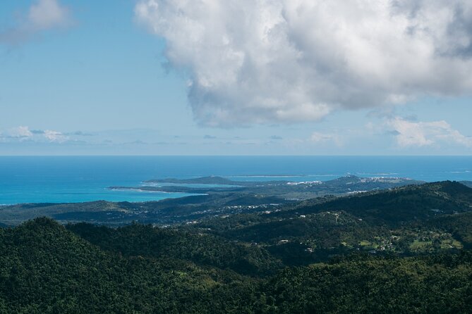 Half-Day El Yunque National Forest Tour from San Juan - Yokahu Tower delivers the broadest view