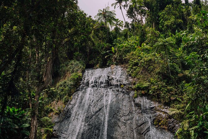 Half-Day El Yunque National Forest Tour from San Juan - Why the guide matters more than the bus ride
