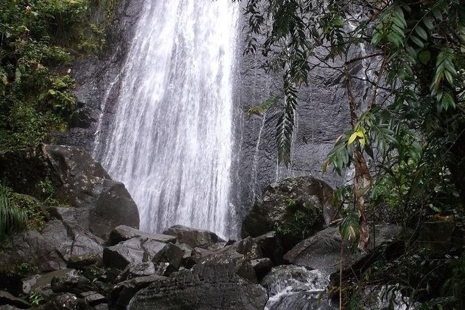 Half-Day El Yunque National Forest Tour from San Juan - Is $100 a fair price?