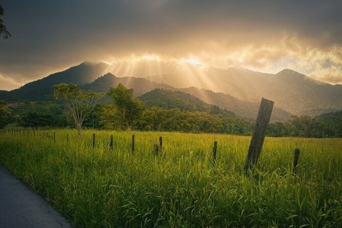 Half Day El Yunque Tour, Waterslide and Rope Swing - Key points to know before booking
