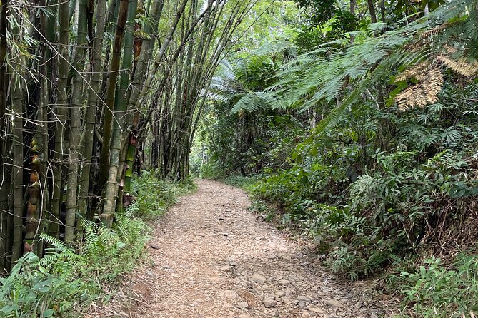 Half Day El Yunque Tour, Waterslide and Rope Swing - Rain, river conditions, and safety rules