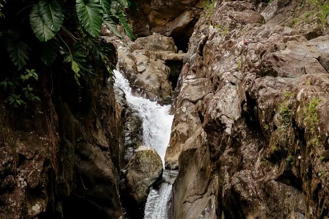 Half-Day El Yunque Waterslide Excursion (no Transportation) - Guides, safety, and the human side