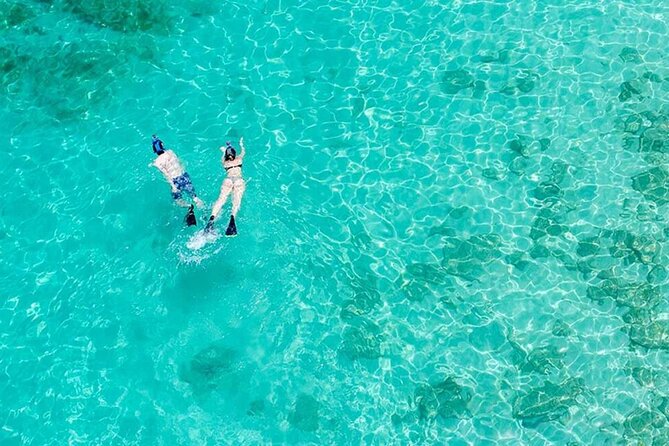 Half Day Icacos Island with Roundtrip Transport from San Juan - Key points to know before you book
