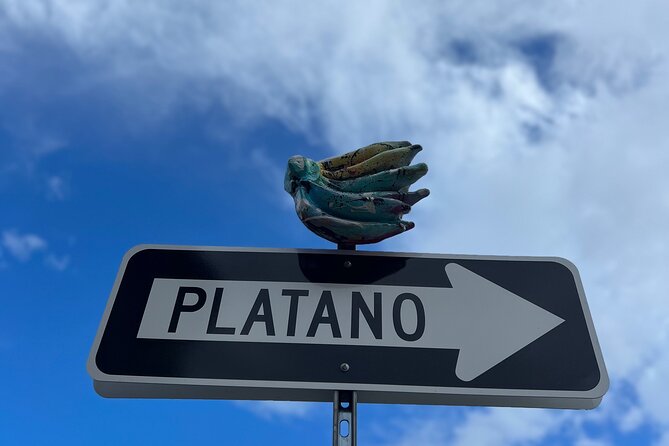 Half-Day: Old San Juan, Calle Cerra,Santurce, La Placita & Loíza - Is $200 a fair price?