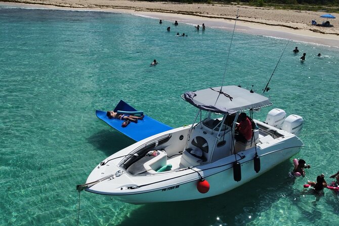 Half-Day Private Boat Experience – Appetizers & Drinks Included - The important booking question: day trip or night adventure?