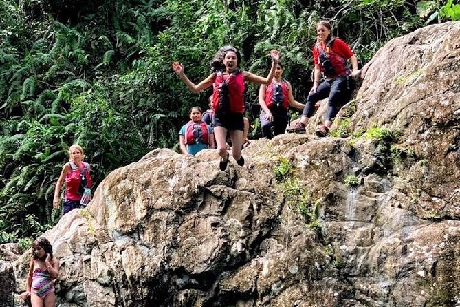Half-Day: Rainforest and Waterslide Adventure with Transportation - Swimming, sliding, and swinging in the river