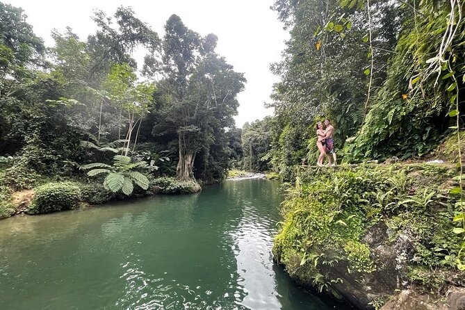 Half-Day Rainforest Tour with Transport from San Juan - Key points to know before you book