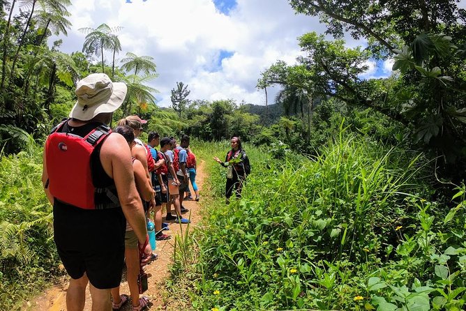 Half-Day Tour: El Yunque Rainforest and Waterslide Adventure - Key points at a glance
