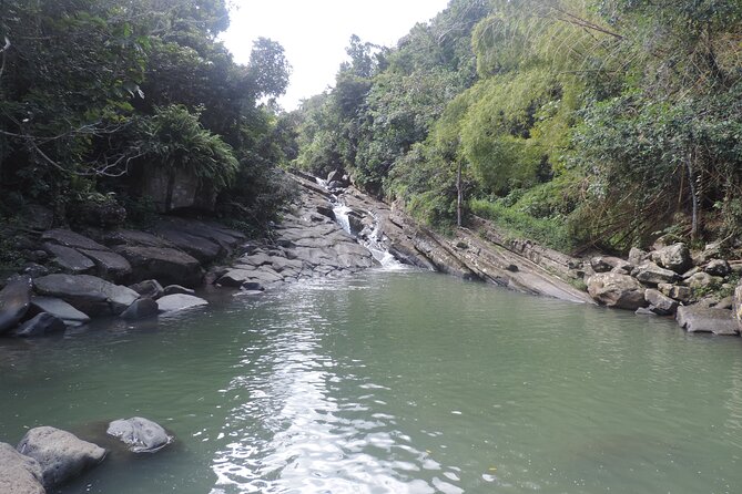 Half-Day Tour: El Yunque, Waterslides, and Luquillo Beach - What the short hike really feels like