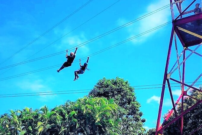 Half Day Tour in Rainforest Zipline Park with Transportation - Quick facts before you book