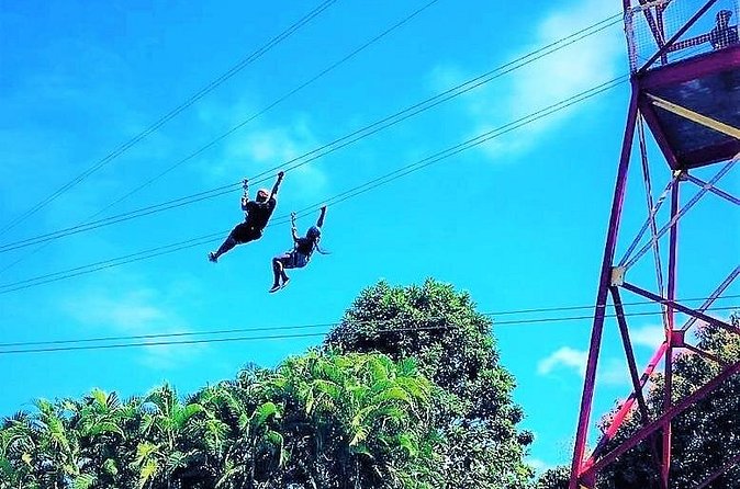 Half Day Tour in Rainforest Zipline Park with Transportation - Safety, staff, and the small-group feel