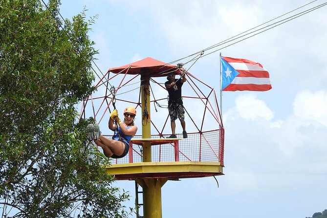 Half Day Tour in Rainforest Zipline Park with Transportation - Learning the ropes before the rainforest runs