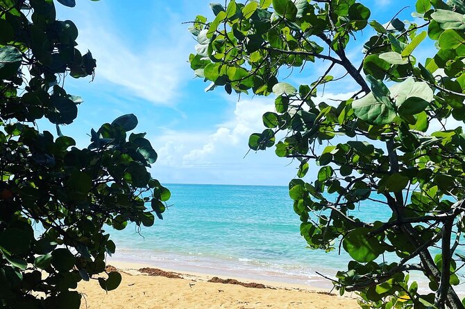 Hidden Fresh Spring of Water+ Cave+ Beach & Food Full Day Tour - Why this day feels different from a standard Puerto Rico outing