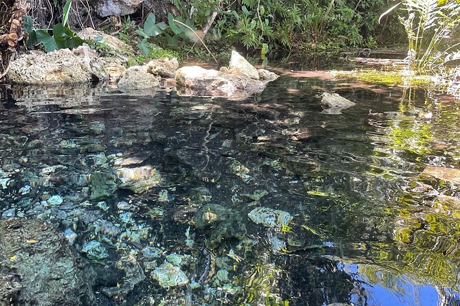 Hidden Fresh Spring of Water+ Cave+ Beach & Food Full Day Tour - The local restaurant stop and what $125 covers