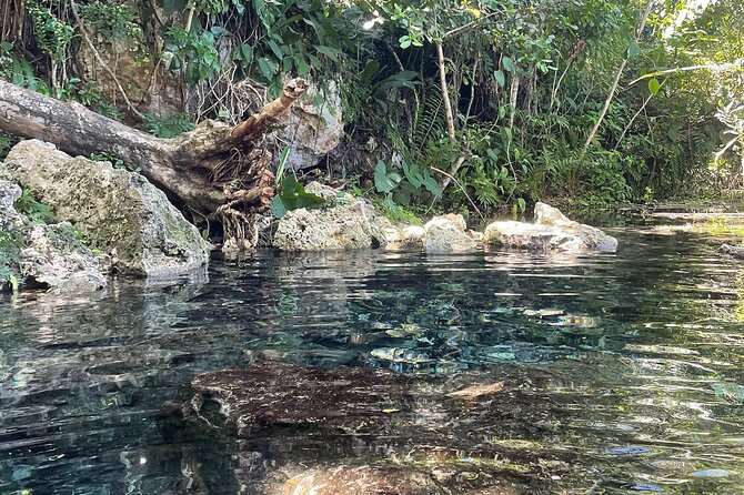 Hidden Fresh Spring of Water+ Cave+ Beach & Food Full Day Tour - Who will enjoy this Puerto Rico day most