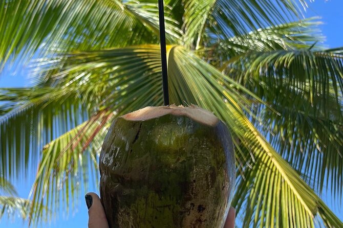 Hidden Fresh Spring of Water+ Cave+ Beach & Food Full Day Tour - The forest walk to Manantial de Guayaney