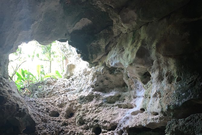 Hidden Gems of the North, Puerto Rico Private Tour - Why this Manatí morning works well