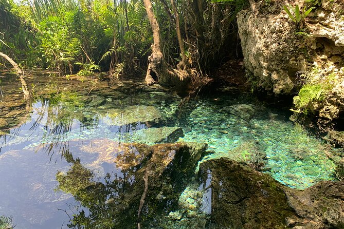 Hidden Gems of the North, Puerto Rico Private Tour - Swimming at the clear spring