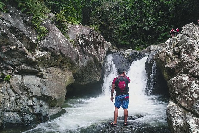 Hike El Yunque Rainforest and Kayak Bio Bay Combo Tour - Why this combo works for an active day outside San Juan