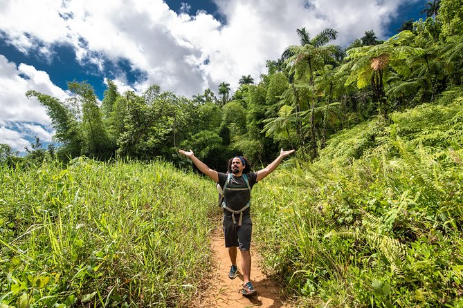 Hike El Yunque Rainforest and Kayak Bio Bay Combo Tour - Paddling through mangroves after dark