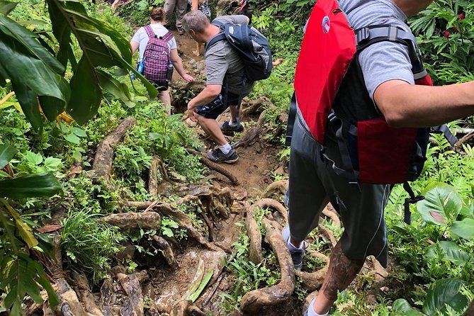 Hike El Yunque Rainforest and Kayak Bio Bay Combo Tour - Guides, group size, and what the day feels like