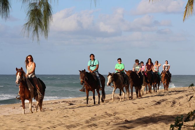 Horseback Riding through Secluded Beaches and Tropical Forests - Key points at a glance