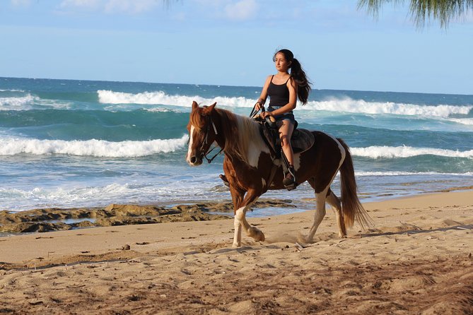 Horseback Riding through Secluded Beaches and Tropical Forests - What this two-hour ride is really like